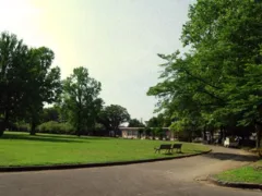 赤ちゃんの人形