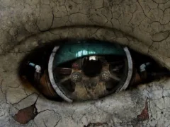 ヒサルキの真相