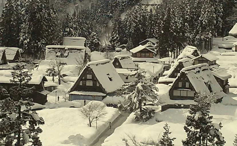 雪の前に立てる一本の竹