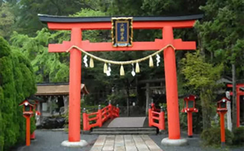 神社の奥の光