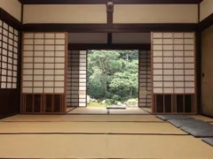 龍神様の掛け軸