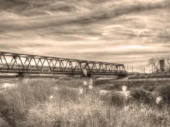 見つけて…、お願い…