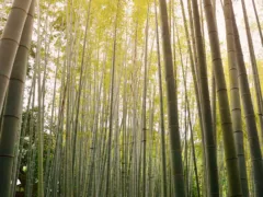 告別式の帰りに