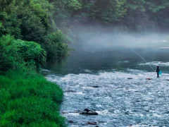 一人で泳いでいる男の子