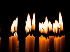 蛇を奉って欲しい