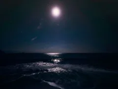 夜の闇と黒い海面