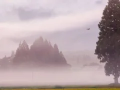 神隠しの森と村の伝承