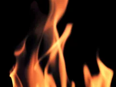 火葬場の二組の骨