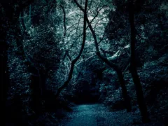 窓側を見てはいけない