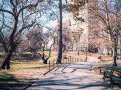 誰も居ない通学路