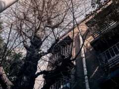 一瞬の異界体験