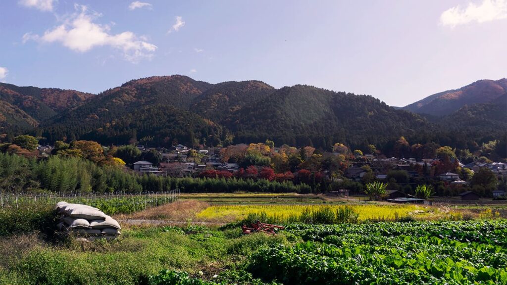 田舎