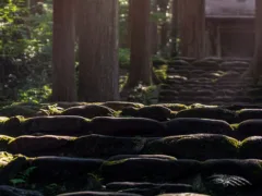 神秘的なお姉さん