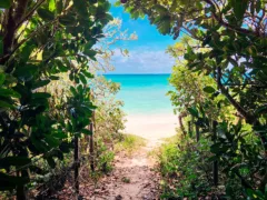 奄美大島の伝説