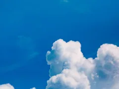 迷い込んだ保育園