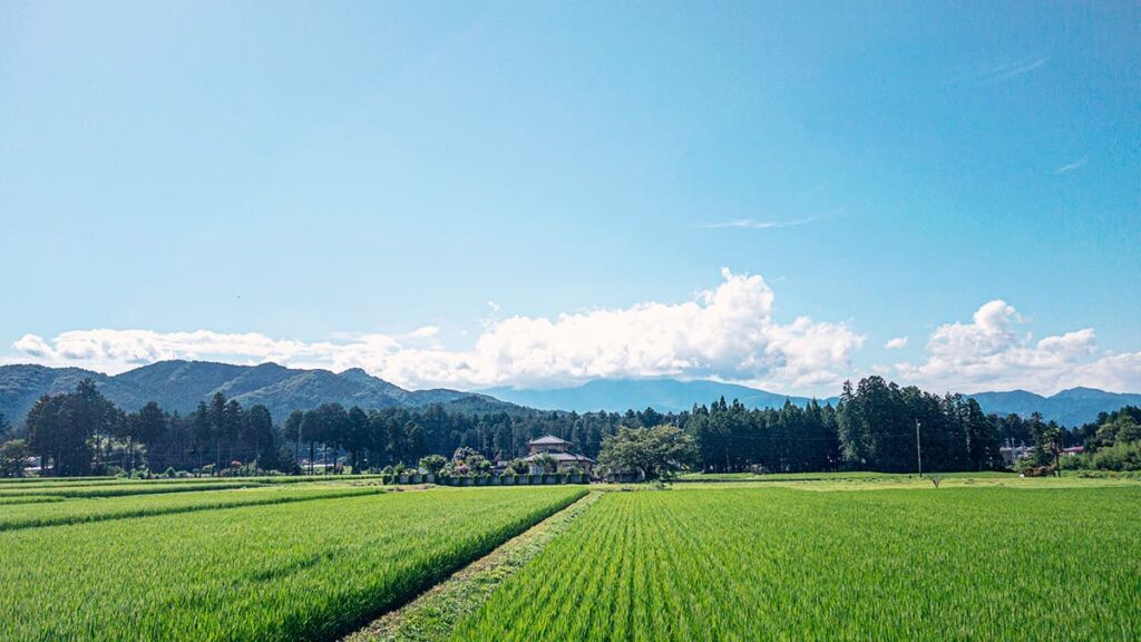 田舎