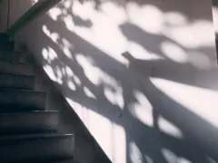 キミアキ君の存在