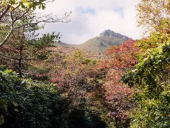 山の神様との約束