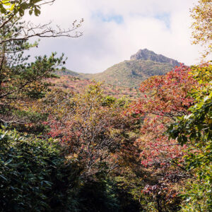 山の神様との約束