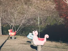 記憶の中の転校生