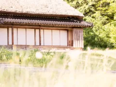 お稲荷さんに魅入られ