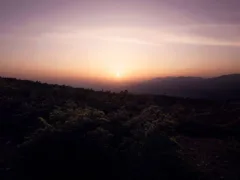 回転する毛の塊