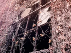 消えた声、風の中から