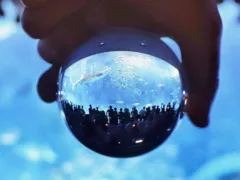 夢の水族館で