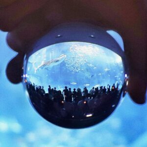 夢の水族館で