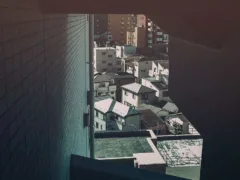 夢が告げるもの