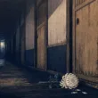 隣の部屋の音楽