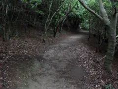 千仏供養（長編）