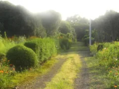 優しさを大切に