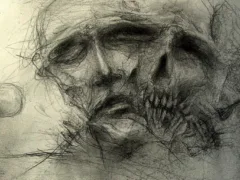 リョウメンスクナ