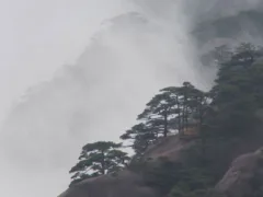 山を穢した代償