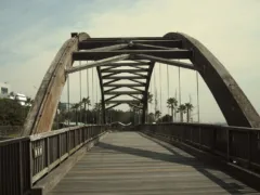 何で戻ってくるんだ