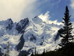 アンテナ鉄塔の異変