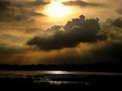 空からの落下物