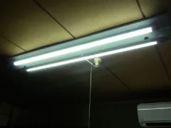 蛍光灯チャチャチャ