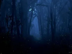 かんかんだら（長編）