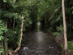 つんぼゆすり（長編）