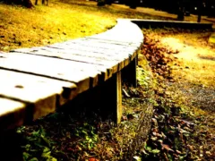 『さかな』と『みぎ』