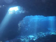 海から来たるもの