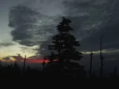 顔の見えない母親