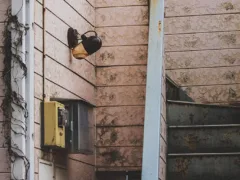 ワンピースの女