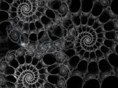 呪いの連鎖（長編）