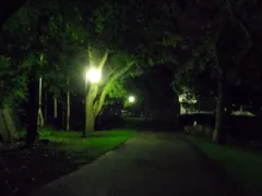 あの時、手を貸していたら…