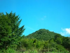 危険な好奇心（前編）