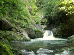 父親の不思議な体験