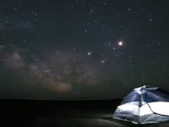 バックミラーの男